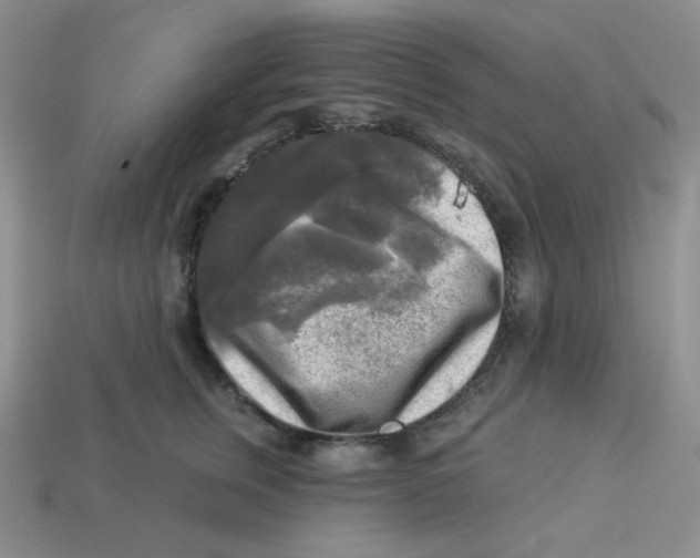 X0000113300759200910131047