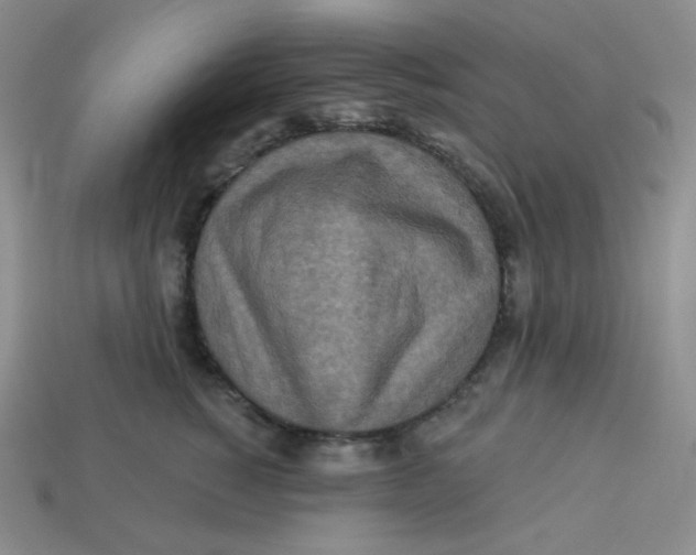 X0000113300760200910131047