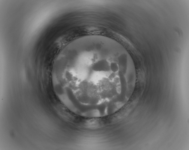 X0000113300761200910131047