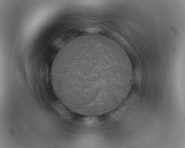X0000113300762200910131047