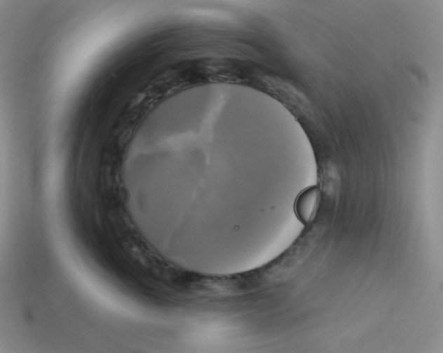 X0000113300763200910131047