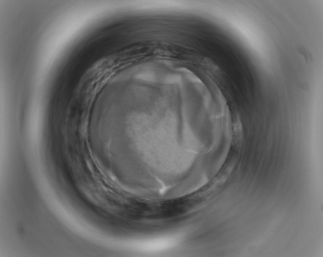 X0000113300765200910131047