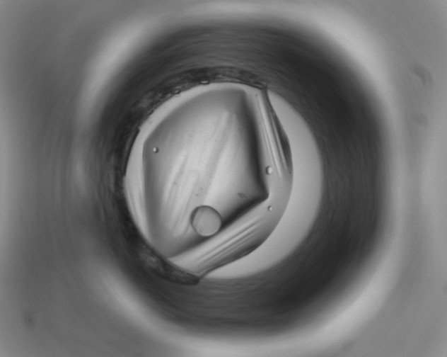 X0000113300766200910131047