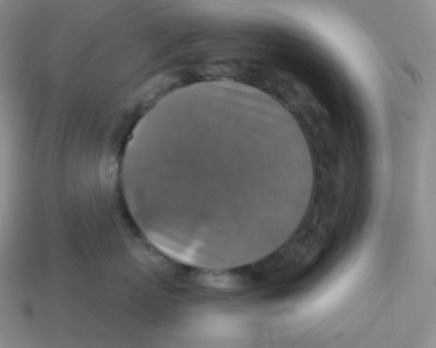 X0000113300767200910131047