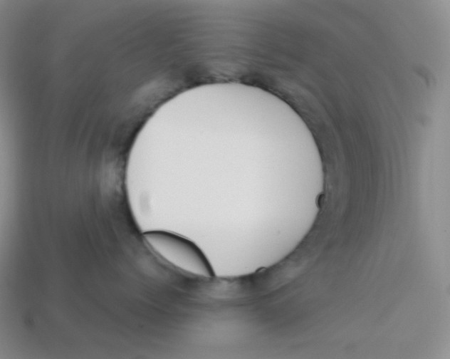 X0000113300768200910131047