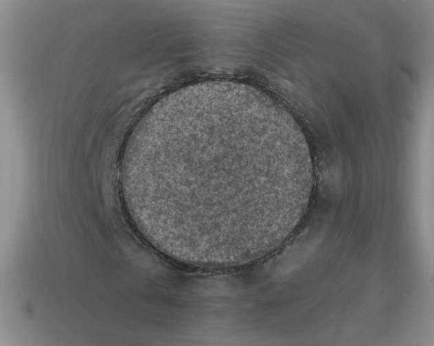 X0000113300769200910131047