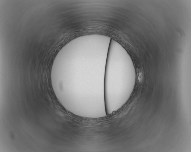 X0000113300771200910131047