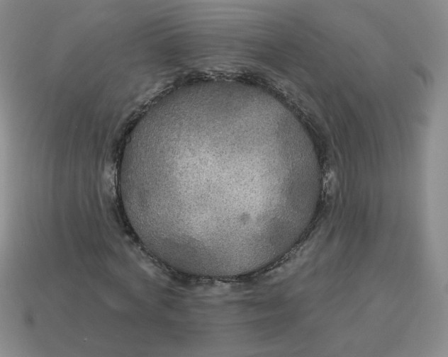 X0000113300772200910131047