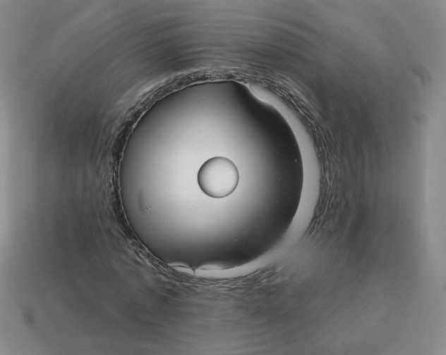 X0000113300773200910131047