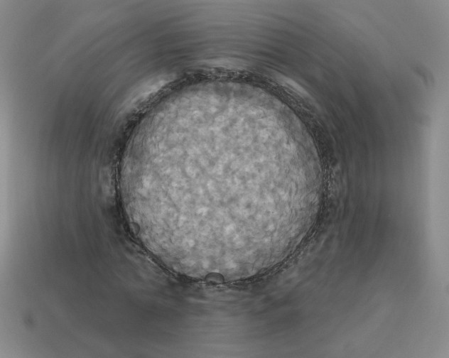 X0000113300774200910131047
