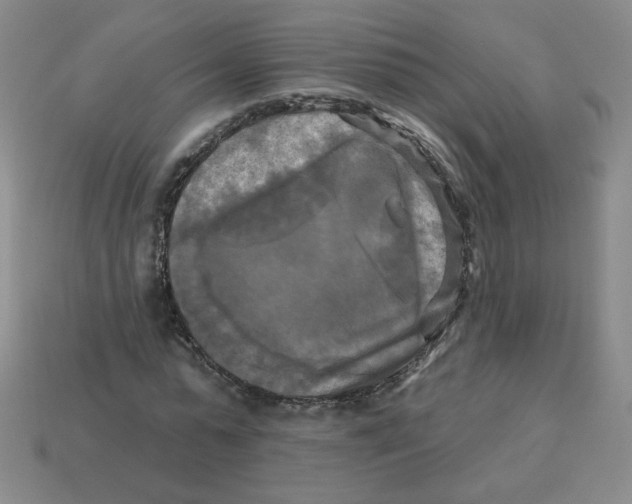 X0000113300775200910131047