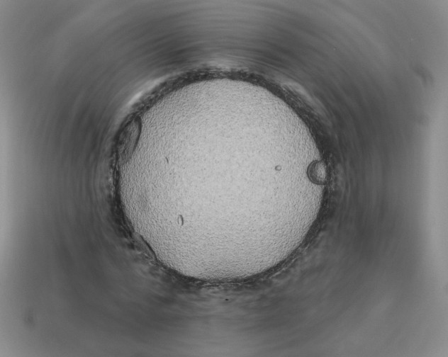 X0000113300776200910131047