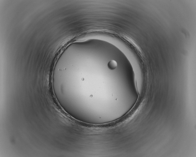X0000113300777200910131046