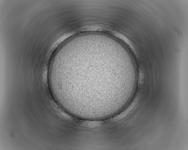 X0000113300778200910131046