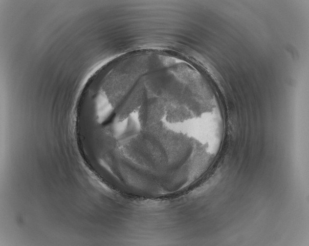 X0000113300779200910131046