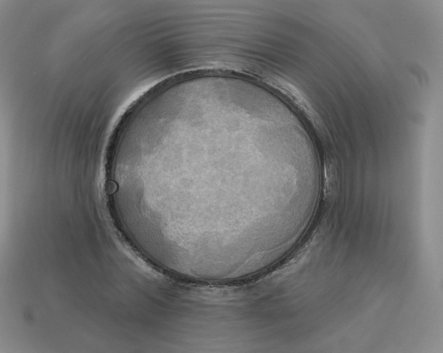 X0000113300780200910131046