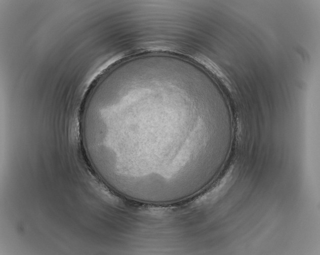 X0000113300782200910131046