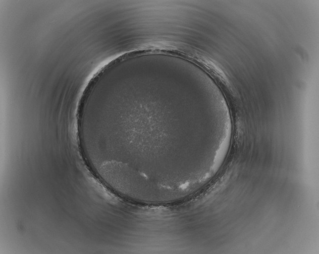 X0000113300784200910131046