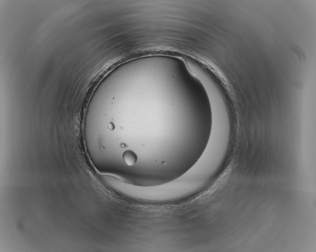 X0000113300785200910131046