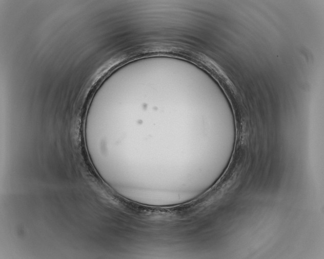 X0000113300786200910131046