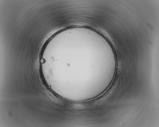 X0000113300787200910131046