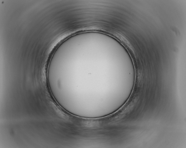 X0000113300789200910131046