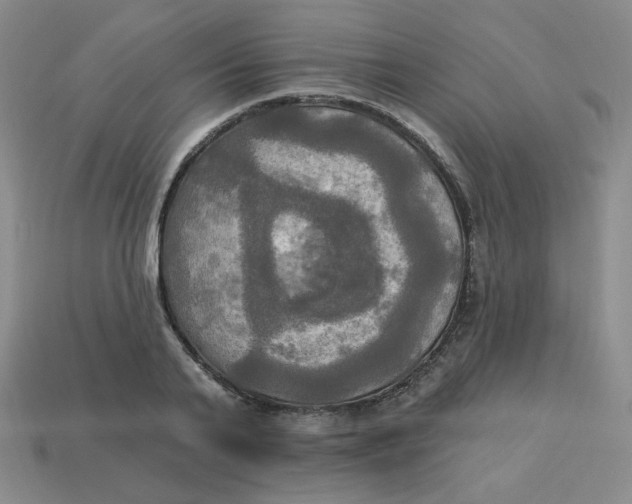 X0000113300791200910131046