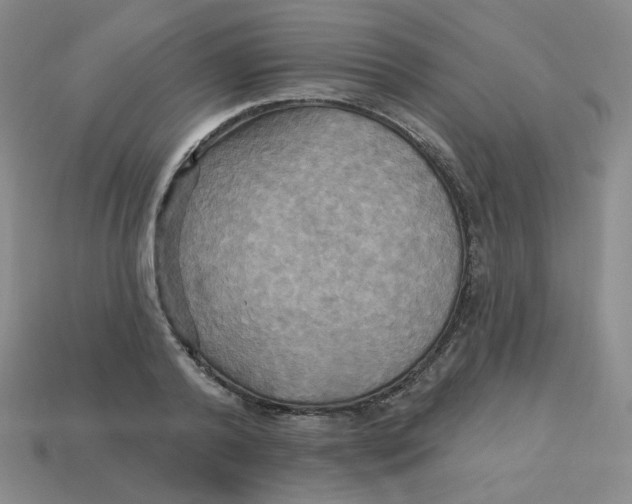 X0000113300792200910131046