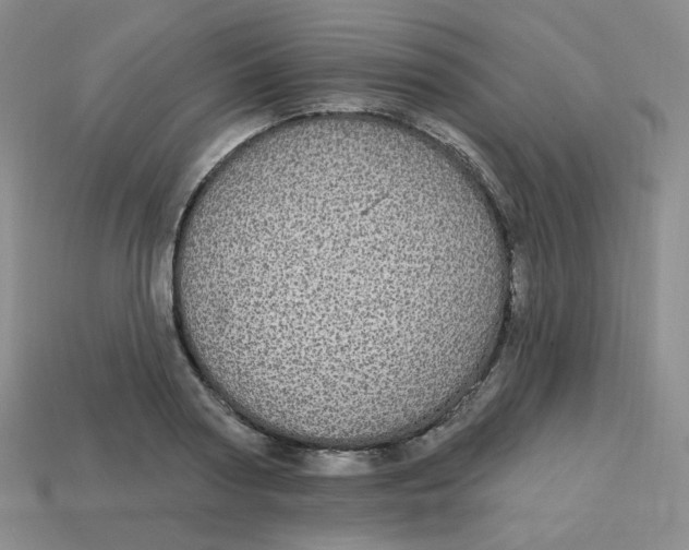 X0000113300794200910131046