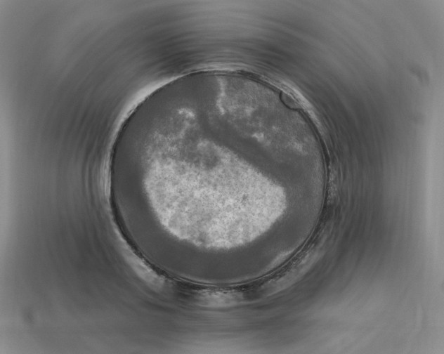 X0000113300795200910131046