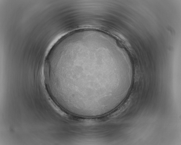 X0000113300796200910131046