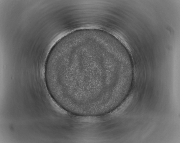 X0000113300797200910131046