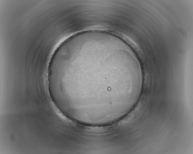X0000113300800200910131046