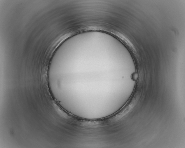 X0000113300801200910131046