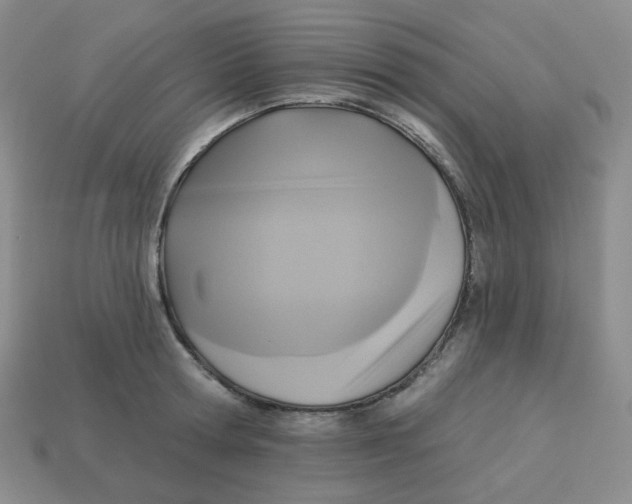X0000113300802200910131046