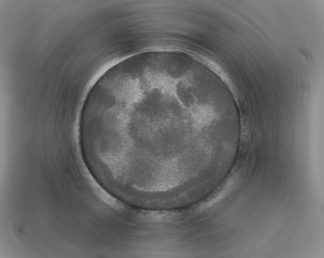 X0000113300803200910131046