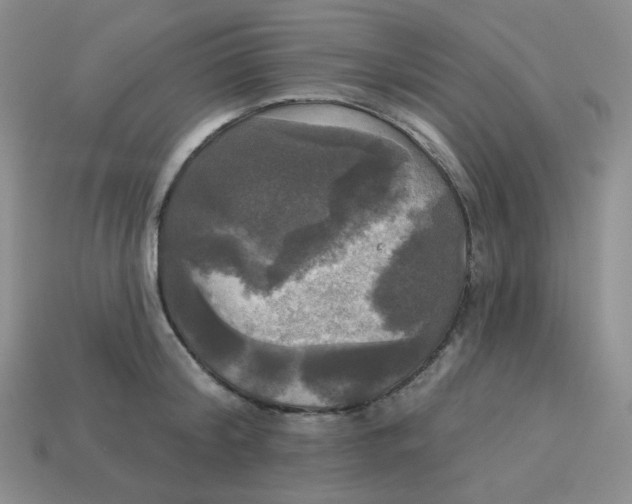 X0000113300804200910131046