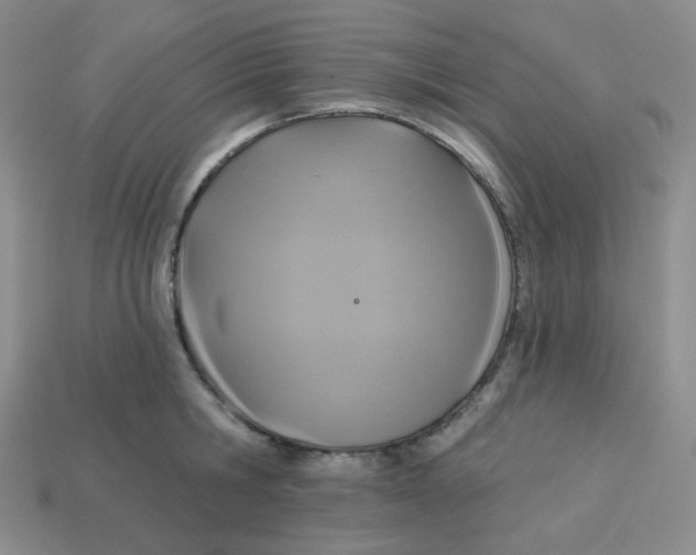 X0000113300806200910131046
