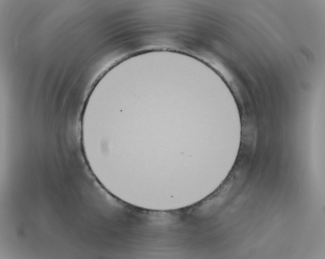X0000113300807200910131046