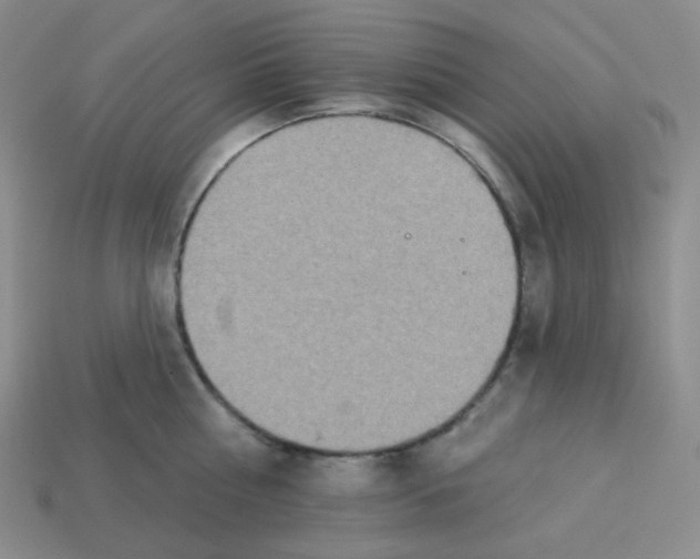 X0000113300810200910131046