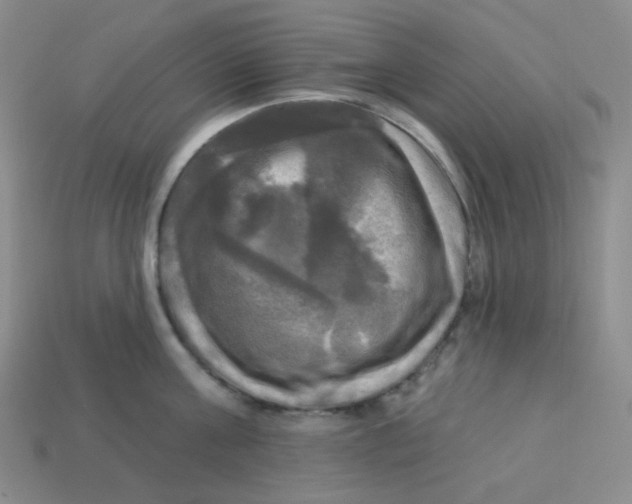 X0000113300811200910131046