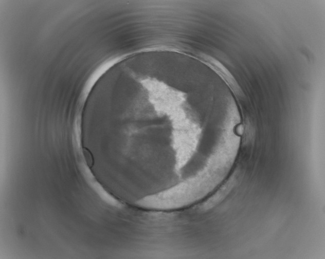 X0000113300812200910131046