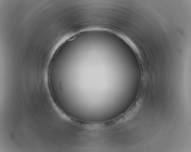 X0000113300813200910131046