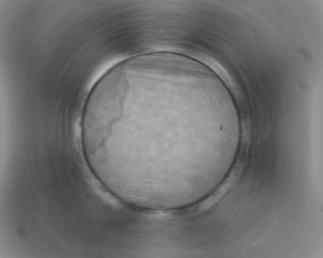 X0000113300814200910131046