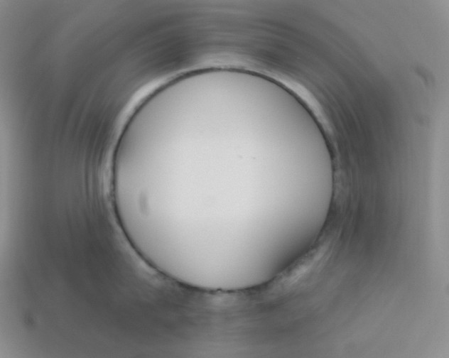 X0000113300815200910131046