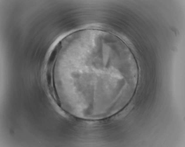 X0000113300816200910131046