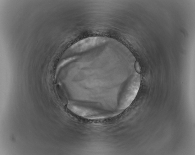 X0000113300817200910131045