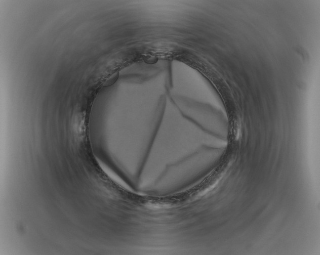 X0000113300818200910131045