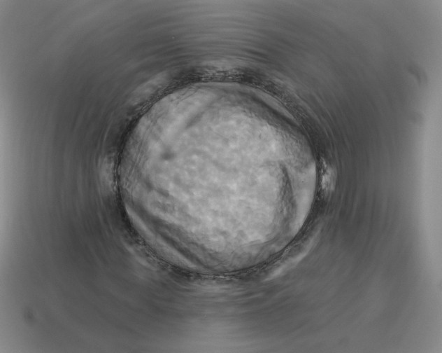 X0000113300819200910131045