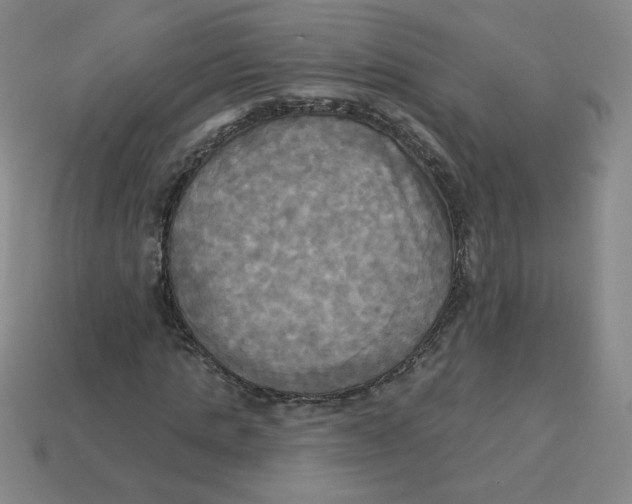 X0000113300821200910131045